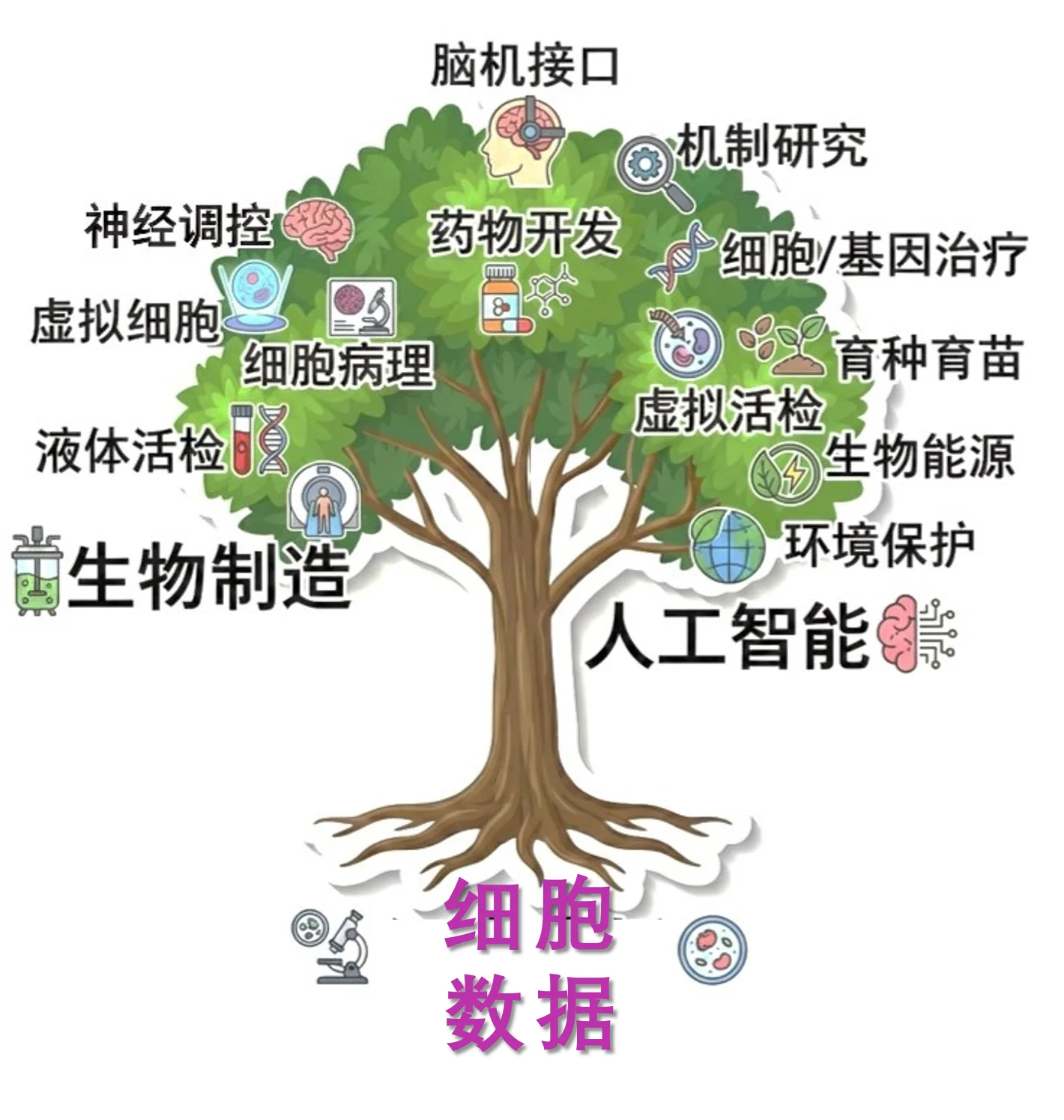 数据树
